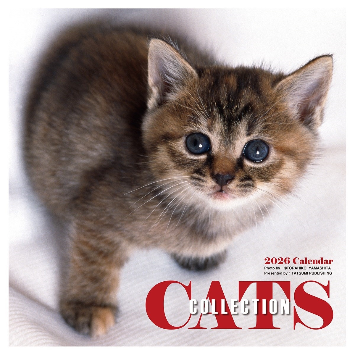 2026年カレンダー 辰巳出版/Cats Collection 山下寅彦
