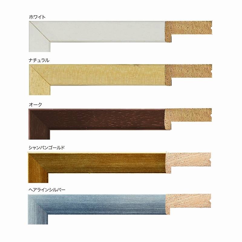 B4 BOX��/���ꥢ�ܥå����ե졼�� B4��������257��364mm��