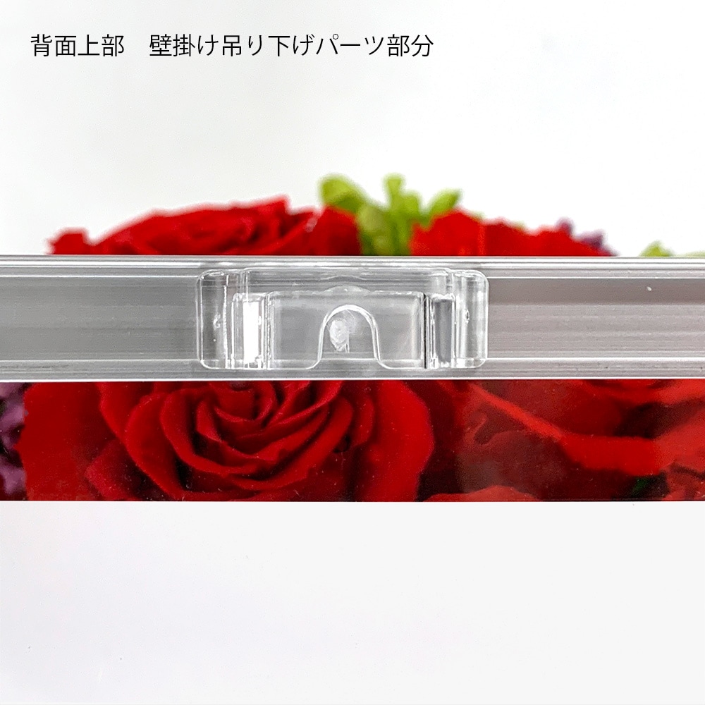 ���ꥢ�ե��åȥե졼��/�����ӥ���/����ӥ�/�ϥ���/��4������