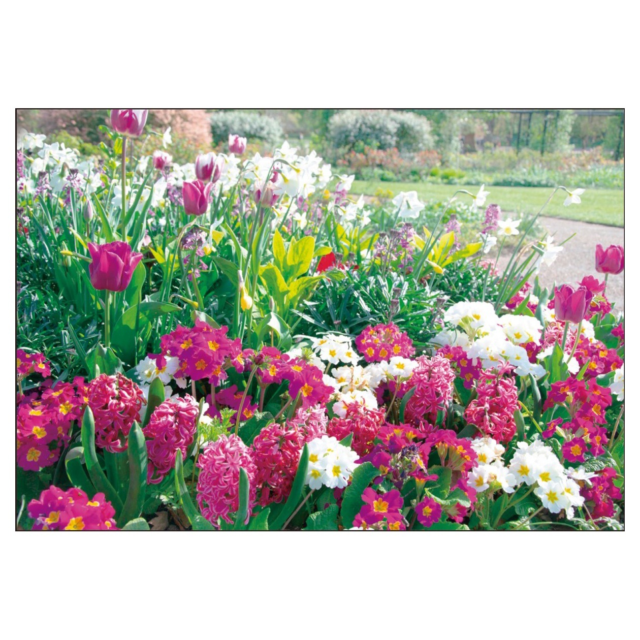 2026年カレンダー イングリッシュガーデン(花の香り付) | カレンダー