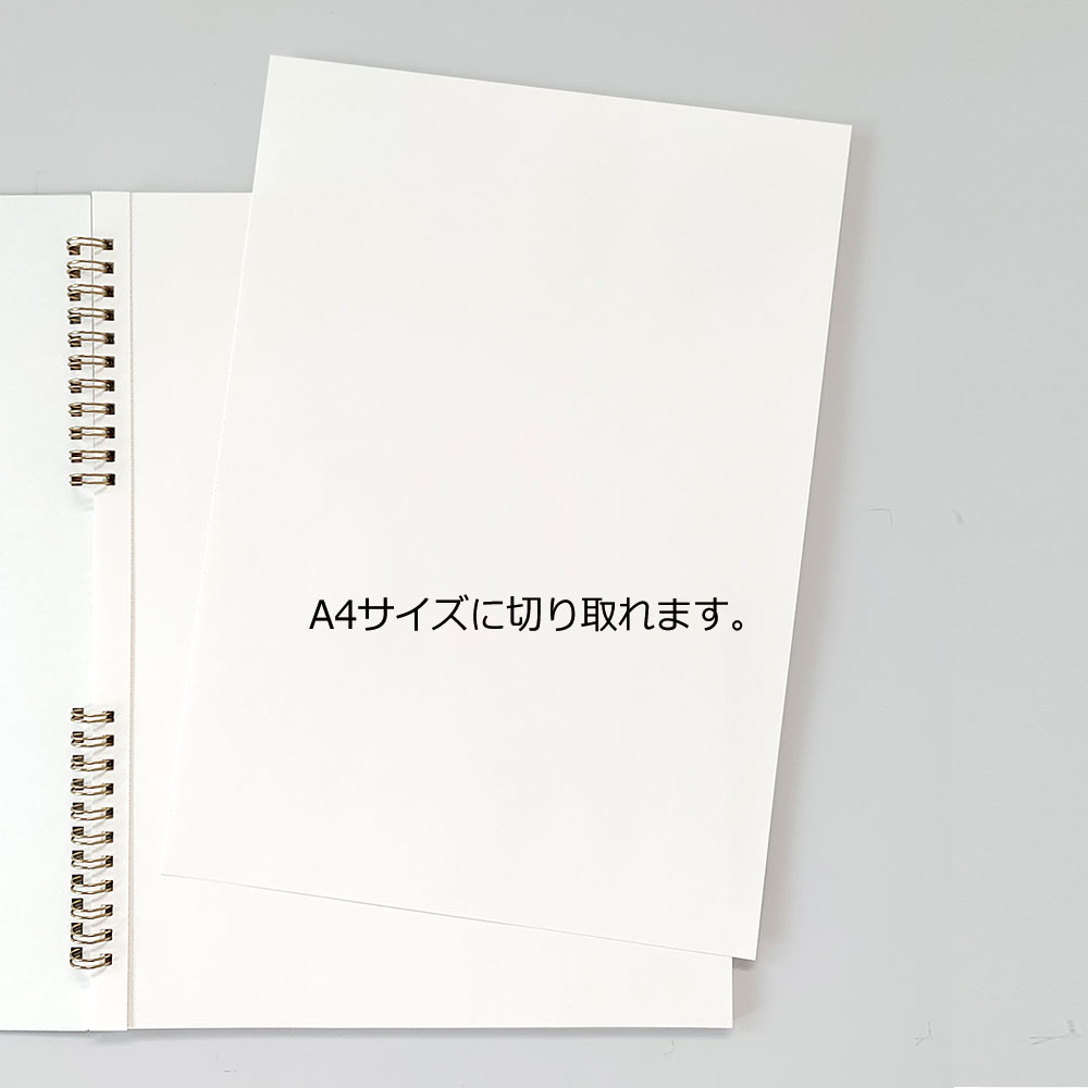 ǥۥ å֥å A4 ɥ뎥