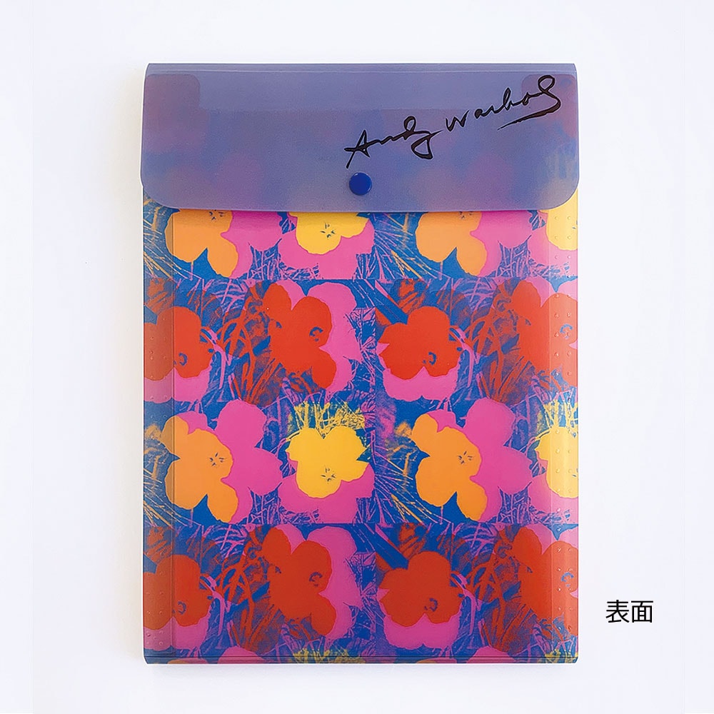 ����ǥ����������ۥ� �ɥ�����ȥ����� �ե����ԥ󥯥�åɥޥ��