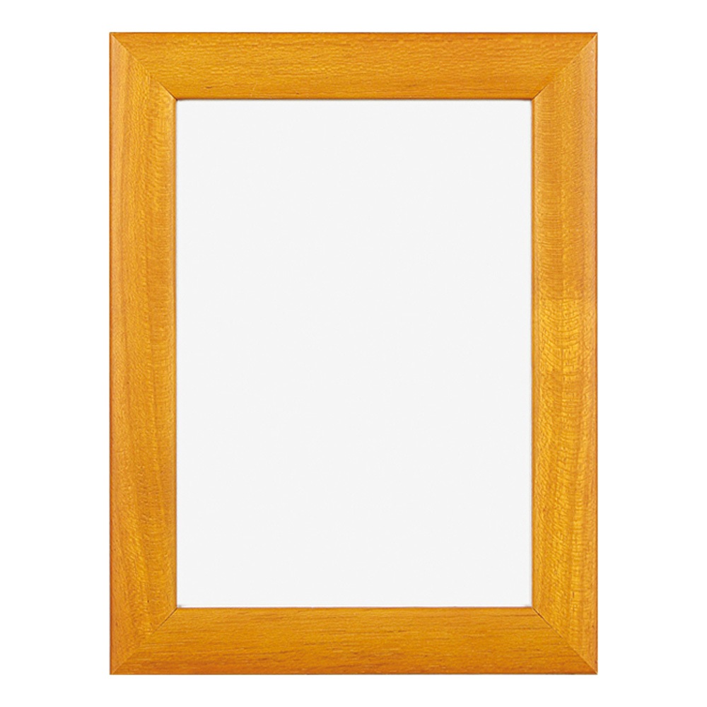 A3 �����۱�/���ƥ���ե졼�� A3��������297��420mm��