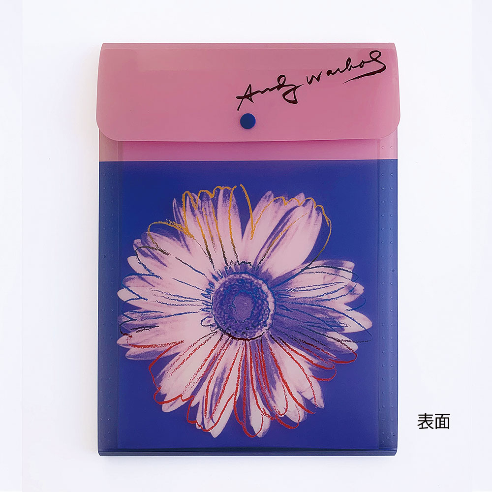 ����ǥ����������ۥ� �ɥ�����ȥ����� �ǥ��������ԥ�