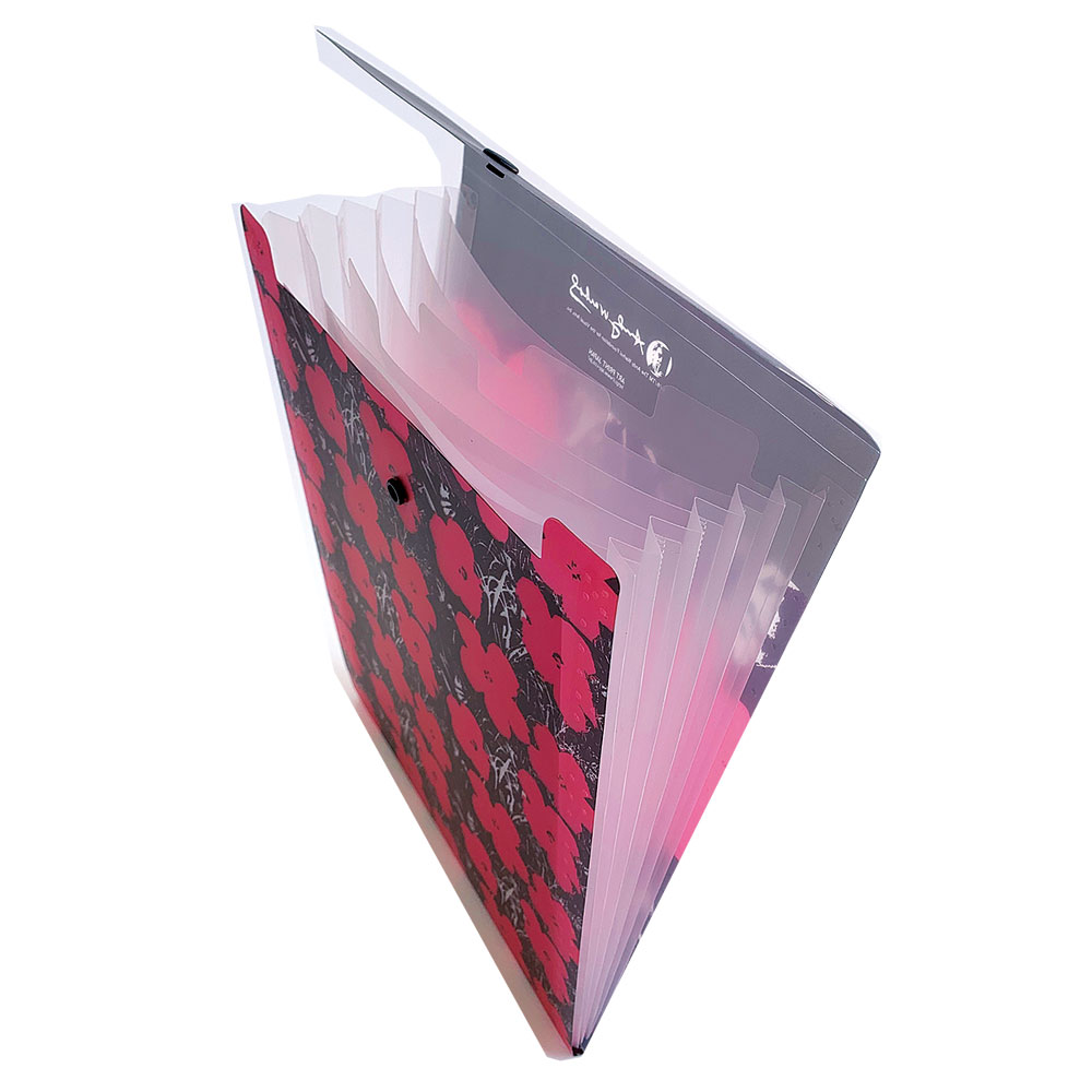 ����ǥ����������ۥ� �ɥ�����ȥ����� �ǥ��������ԥ�