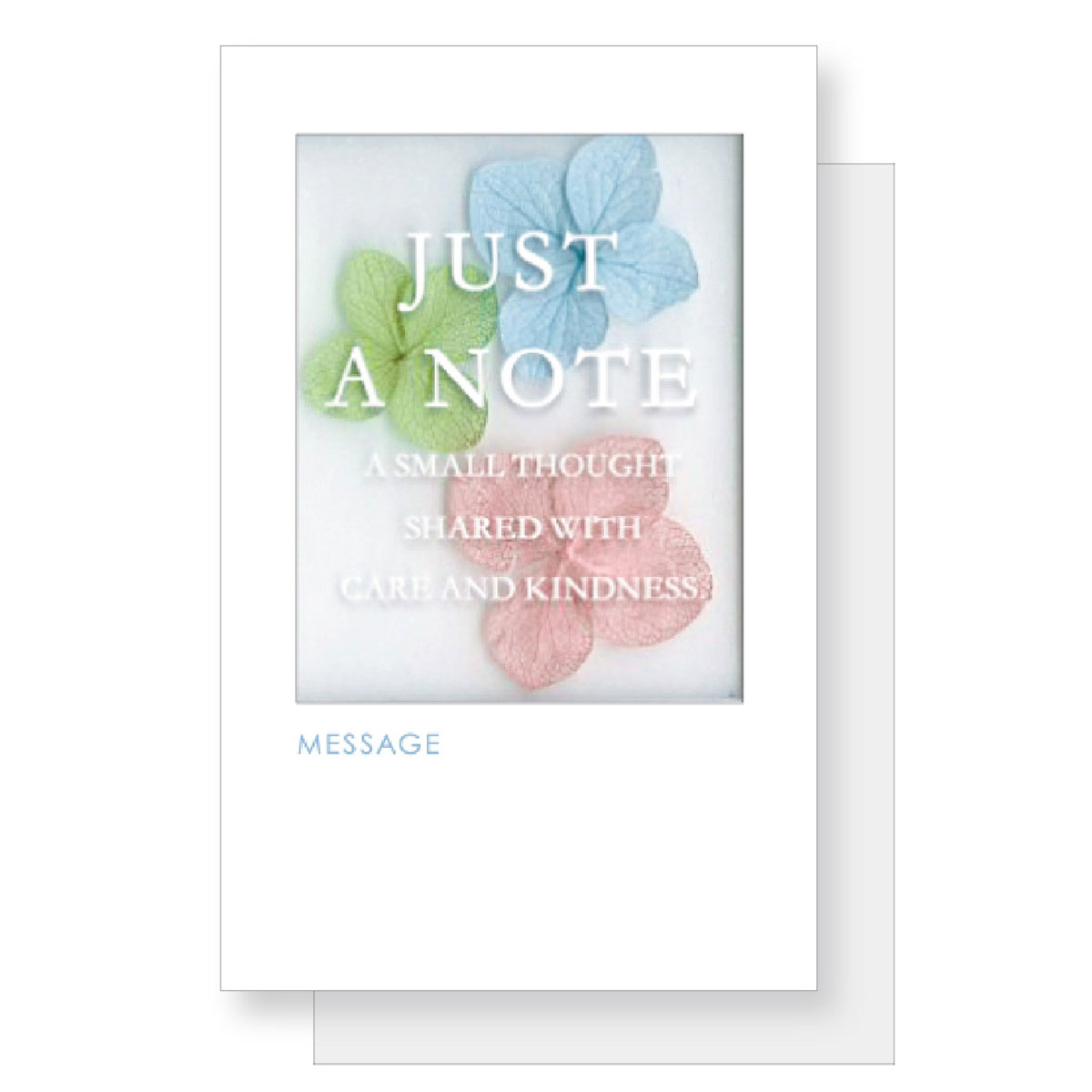 Just A Note(���㥹�� �� �Ρ��ȡ˥ߥ˥����� �ɥ饤�ե� 2