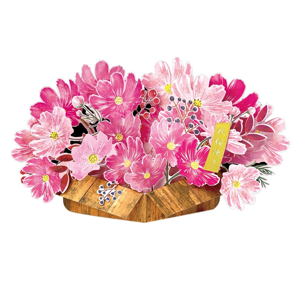 �����ݥåץ��åץ����� �����⥹Ȫ 