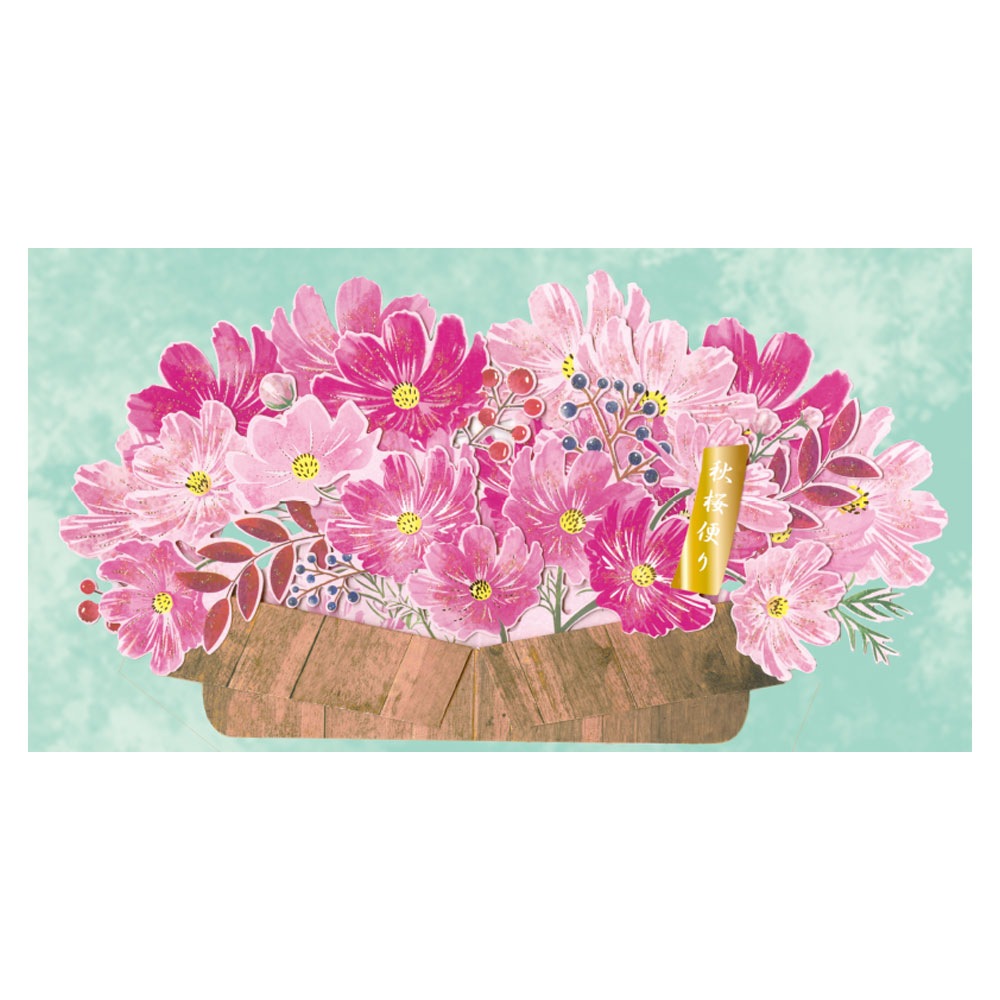 �����ݥåץ��åץ����� �����⥹Ȫ 