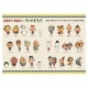 2027ǯ��Ģ �������� A6 �ޥ󥹥꡼�������꡼/���饷 