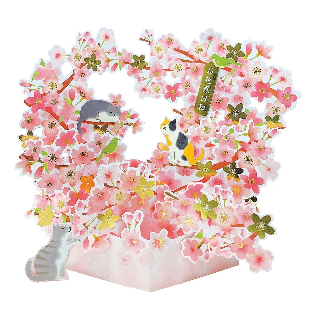 ���ݥåץ��åץ����� ����ǭ