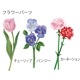 եޡåȥ쥿/塼åץå