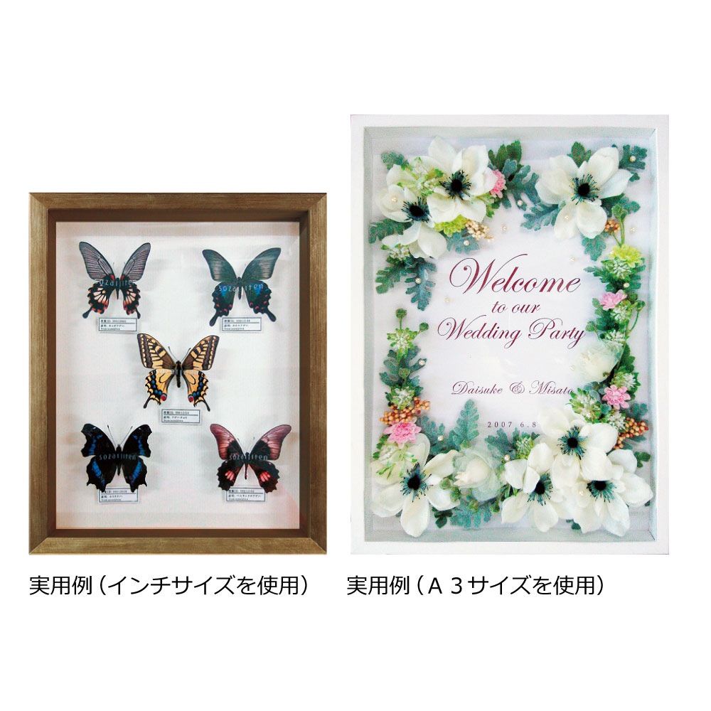 Ȭ���� BOX��/�����ȥܥå����ե졼��ʹ⤵��35mm�� Ȭ���ڥ�������242��303mm��