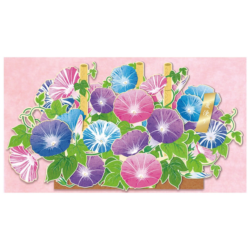 �����ݥåץ��åץ�����/ī��