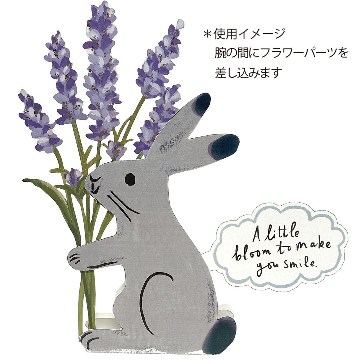 �ե��ѡ���/���˥ޥ륹�����/������