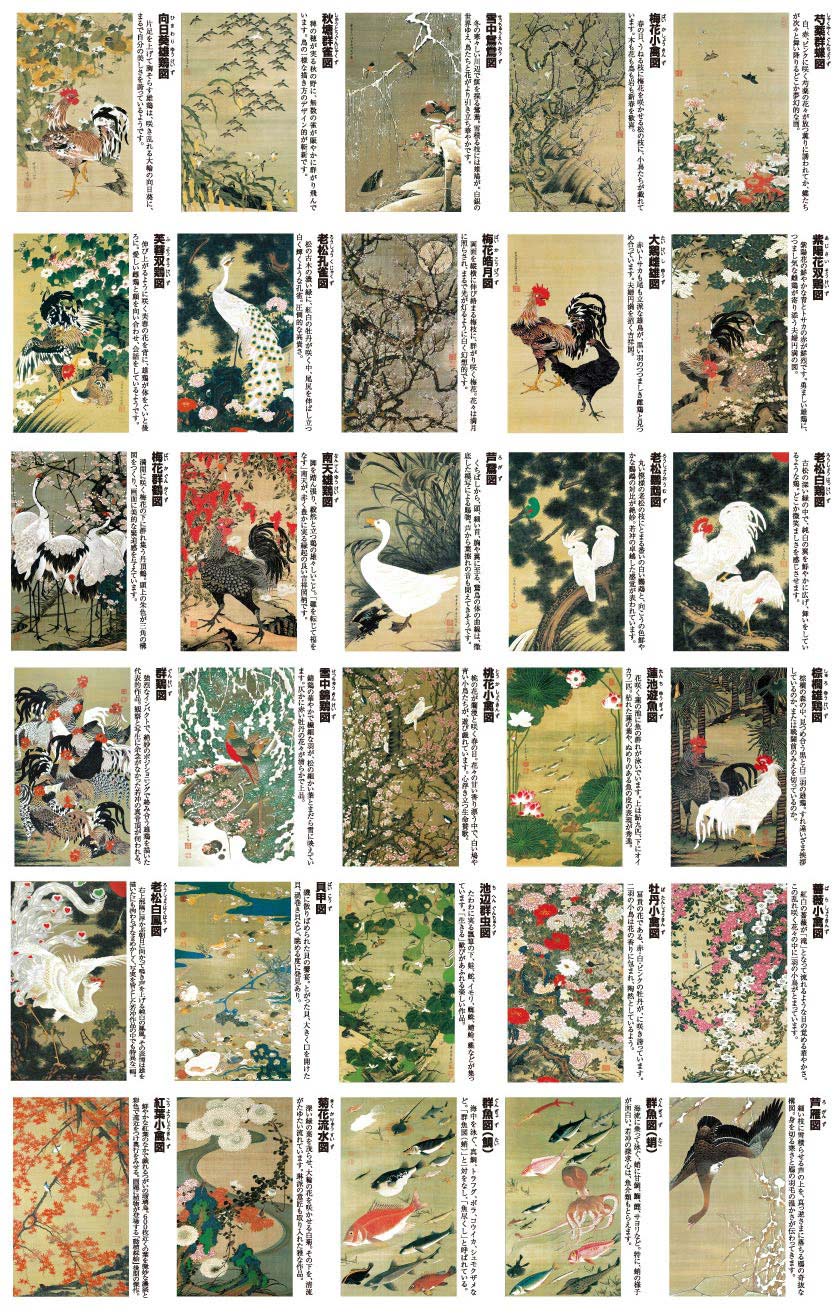 11000pt還元 伊藤若冲 動植綵絵 標準仕様 掛軸 全30幅セット 美術 作品
