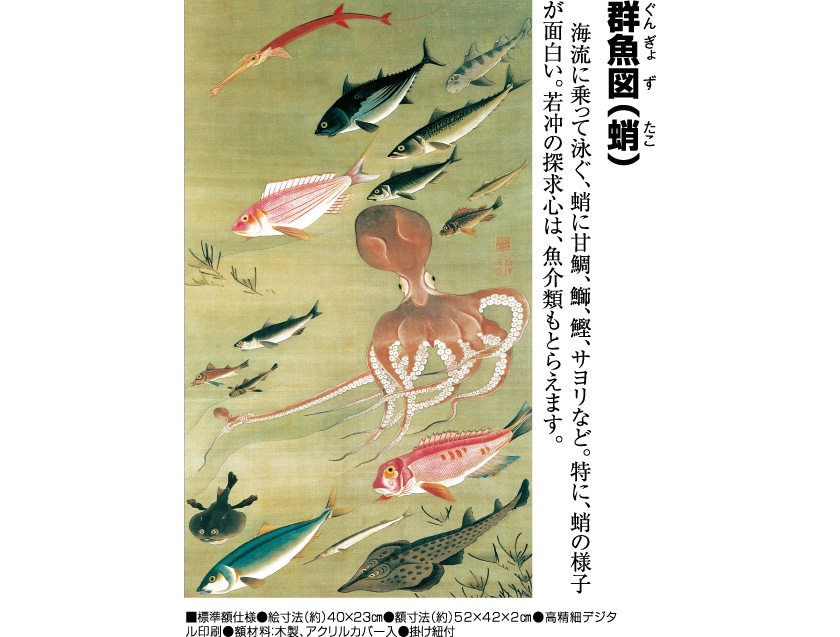 伊藤若冲 動植綵絵 群魚図（蛸） 額 美術品 インテリア レプリカ