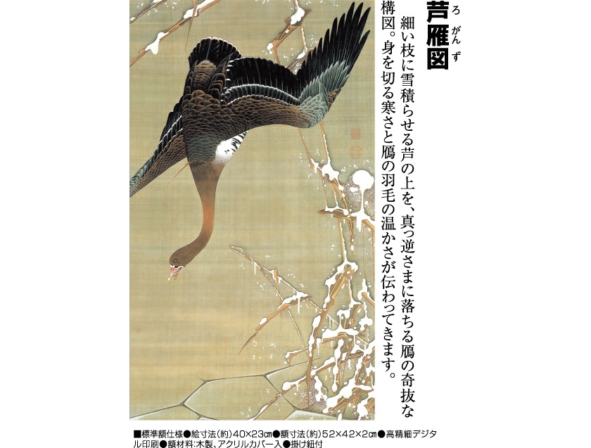 伊藤若冲 動植綵絵 芦雁図 額 美術品 インテリア レプリカ グッズ