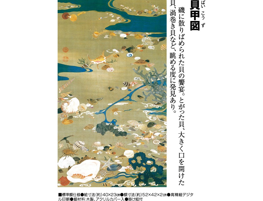 伊藤若冲 動植綵絵 貝甲図 額 美術品 インテリア レプリカ グッズ