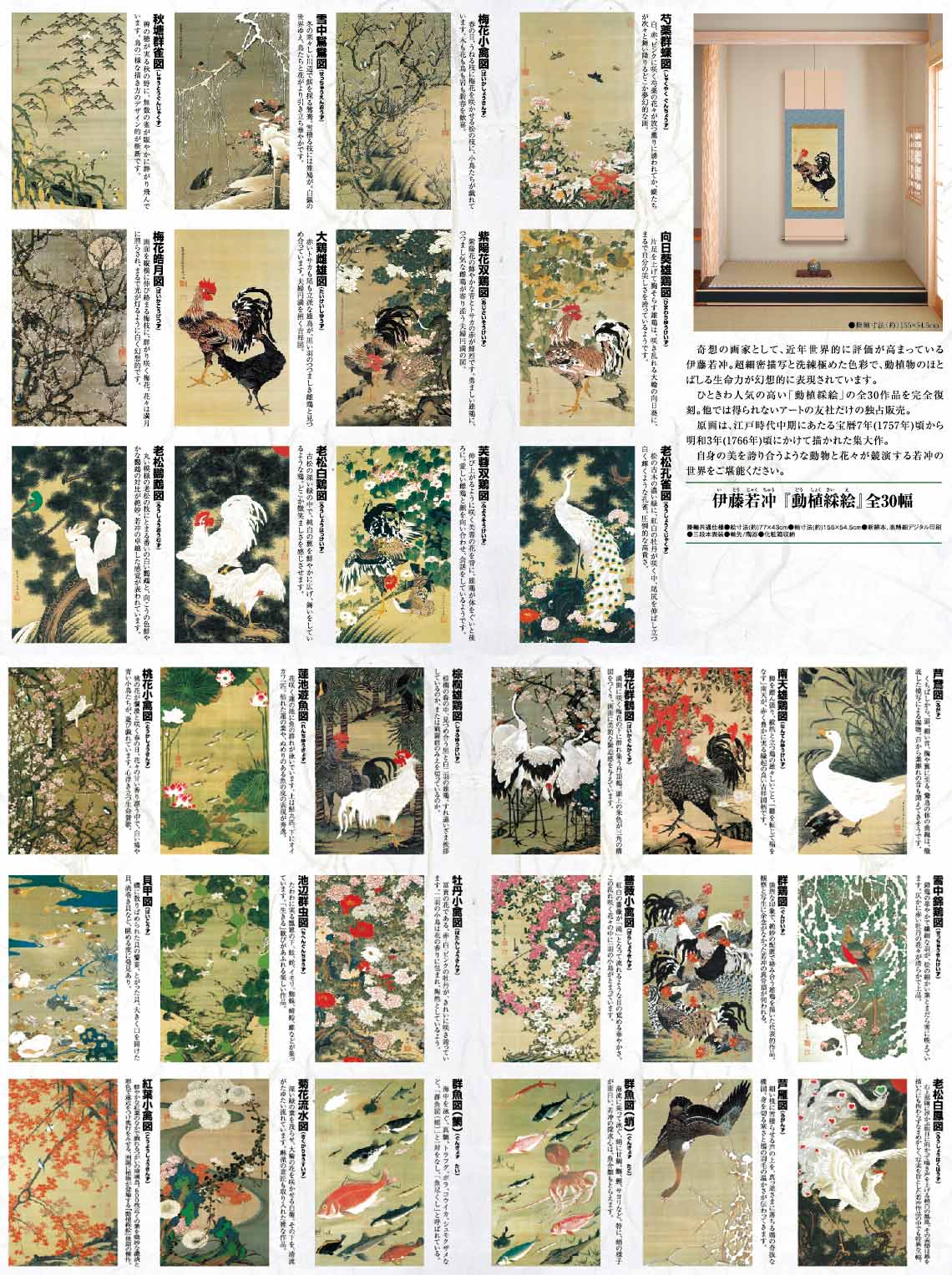 伊藤若冲 動植綵絵 高級仕様 掛軸 全30幅セット 美術品 インテリア