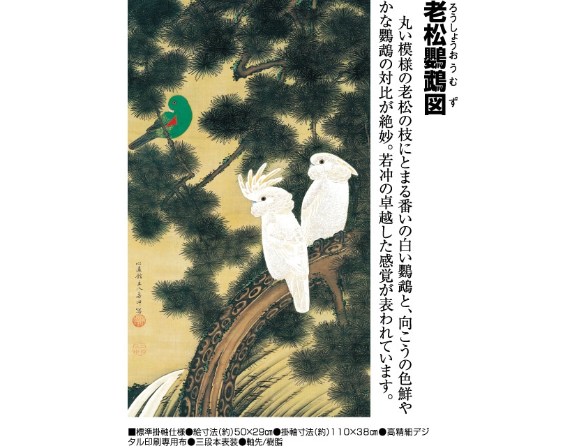 伊藤若冲 動植綵絵 老松鸚鵡図 掛軸 美術品 インテリア レプリカ