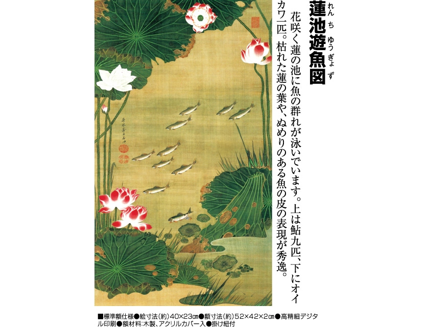 伊藤若冲 動植綵絵 蓮池遊魚図 額 美術品 インテリア レプリカ グッズ
