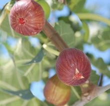 餤ѥåڥءʣåȺġˡ