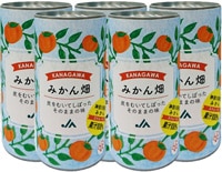 �ߤ���Ȫ�ڿ������ �����ߤ��󣱣����󥸥塼����