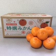 ŤߤڣȢ ۴Ȥʤޤ