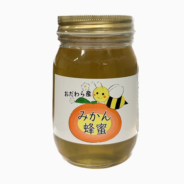 �񻺤Ϥ��ߤġڤߤ���ۡʥץ��ƴ��