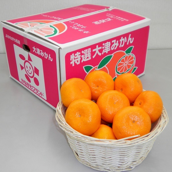 ŤߤڣȢ Լͤʡ۴Ȥʤޤ