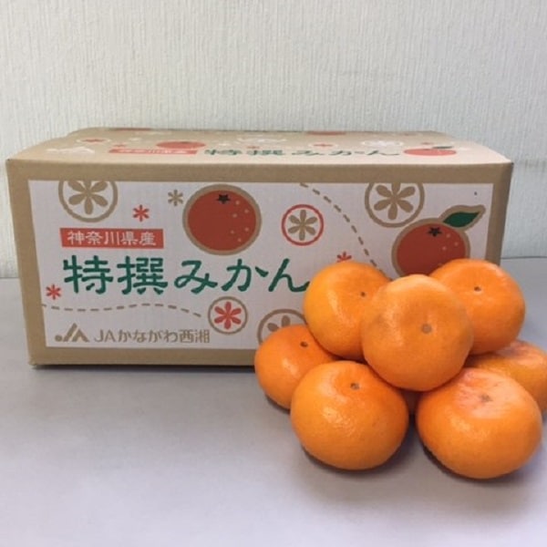 ŤߤڣȢ ۴Ȥʤޤ