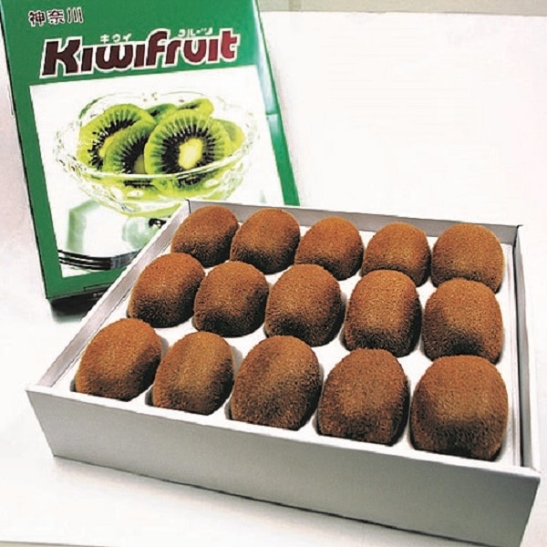 ե롼ġȢʼإɡۡգʲС˸ʶˣޤ