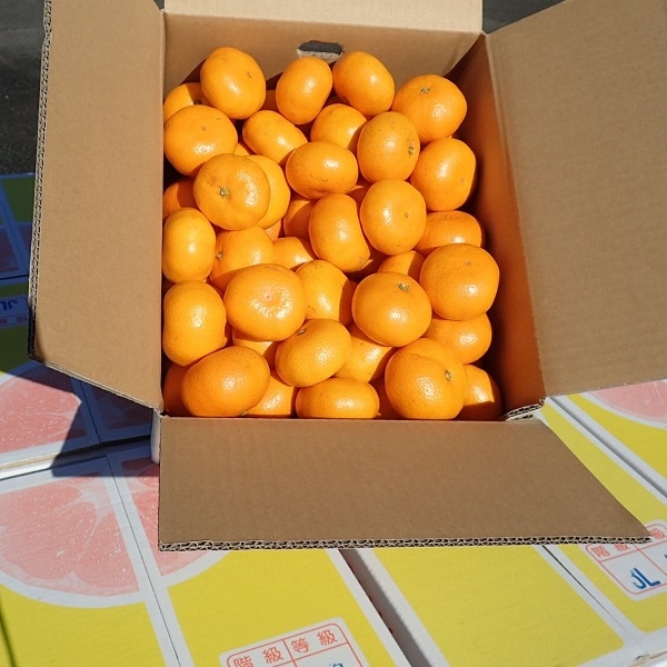 ߤ£ʡţȢ 󣶣۴Ȥʤޤ