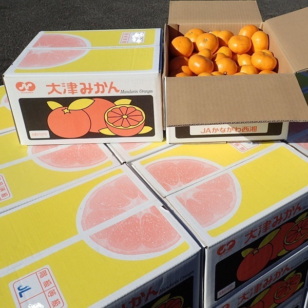 ߤ£ʡţȢ 󣶣۴Ȥʤޤ