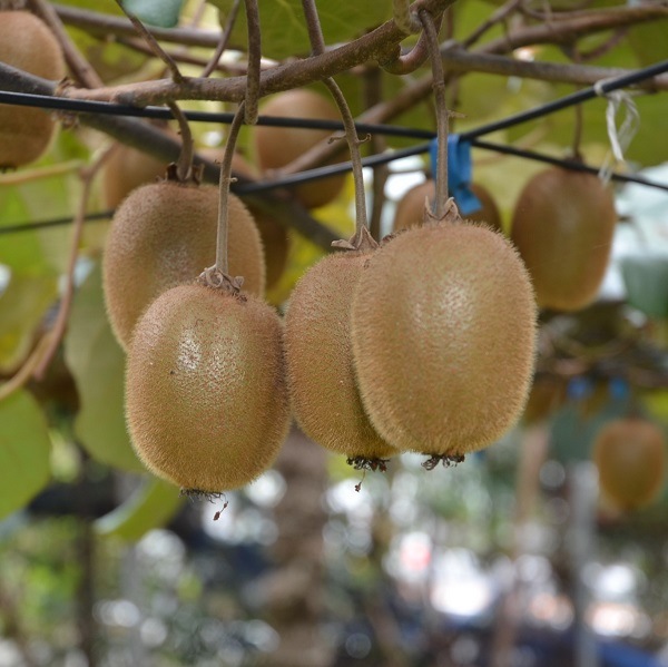 ե롼£ʡʼإɡۼգʲС˸ʶˣޤ