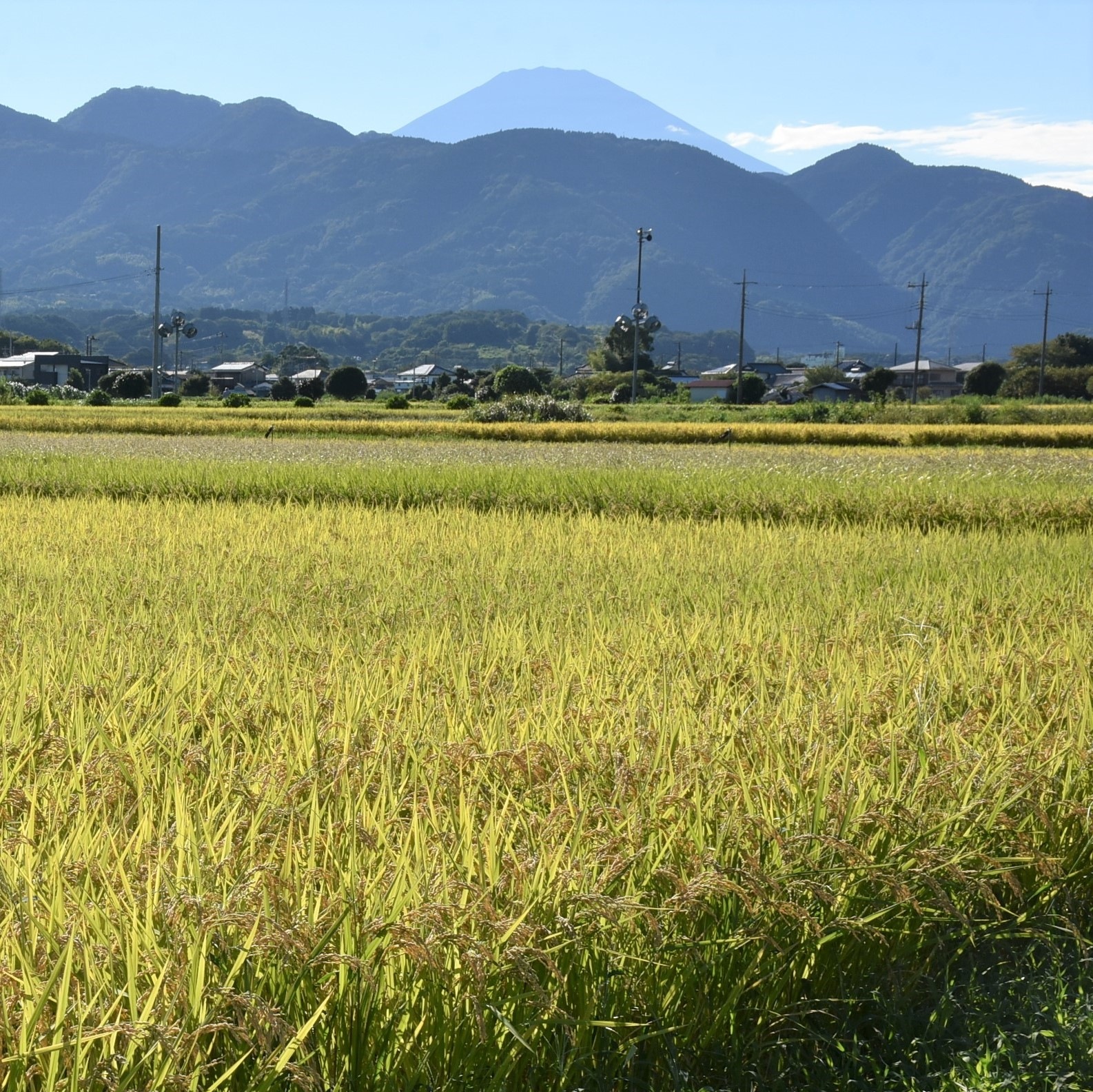 �����£�ǯ���ۤϤ���ơʣ�������