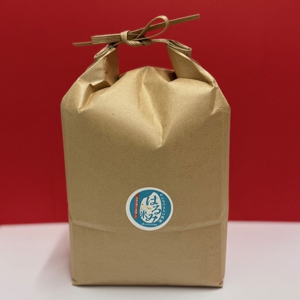 �����£�ǯ���ۤϤ���ơʣ�������