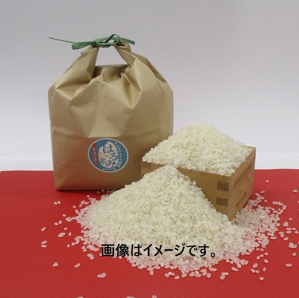 �����£�ǯ���ۤϤ���ơʣ�������