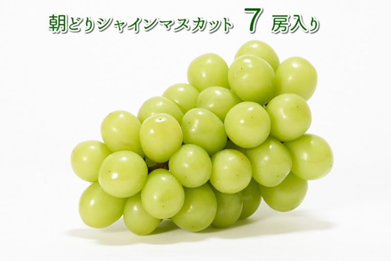 ڣ䳫ϡ̵ۣۡ˼īɤꥷ㥤ޥåȡǹ֤ɤ˼ʾȢ͡