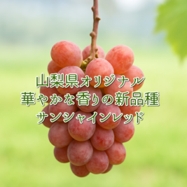 ڣ䳫ϡۡ󥷥㥤åɡ֤ޥåȡꥸʥʼ˼Ȣ͡