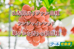 �ڣ����������ͽ��ۡڥ������ء��ǹ����������ۡ����󥷥㥤���åɡ����������ꥸ�ʥ��ʼ����˼Ȣ�͡�