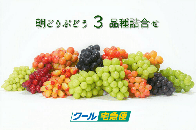『専用出品』　葡萄ギフト ぶどうの詰め合わせ－山梨からのぶどうのギフトやお取り寄せに 贈答用