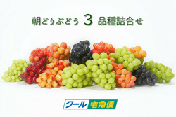 �ڣ����������ͽ��ۡ�����̵���ۤ����ˤ���̵���֤ɤ��εͤ��碌��ī�ɤ�֤ɤ��ͤ�礻�������ࡡ�󣱡�����硡���եȡ�£���ѡ������󤻤ˡ����֤ɤ��ͤ��碌���ڥ���륻�å�