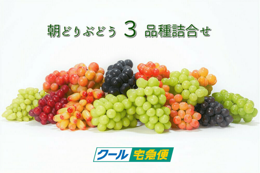 ぶどうの詰め合わせ－山梨からのぶどうのギフトやお取り寄せに 贈答用