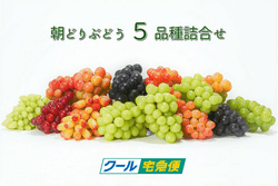 �ڣ��������ͽ��ۡ�����̵���ۥե롼�İ����Ȥ�����Ǽ�������¤Σ�����Τ֤ɤ�������ī�ɤ�֤ɤ��ͤ�礻�������ࡡ���եȡ�£���ѡ������󤻤ˡ����֤ɤ��ͤ��碌�ǥ�å������å�