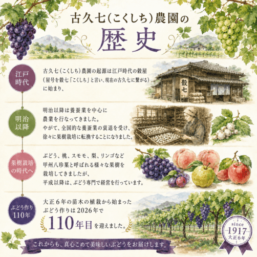 ぶどうの通販 ぶどう王国山梨から高級ぶどうを通信販売 彩り葡萄 8