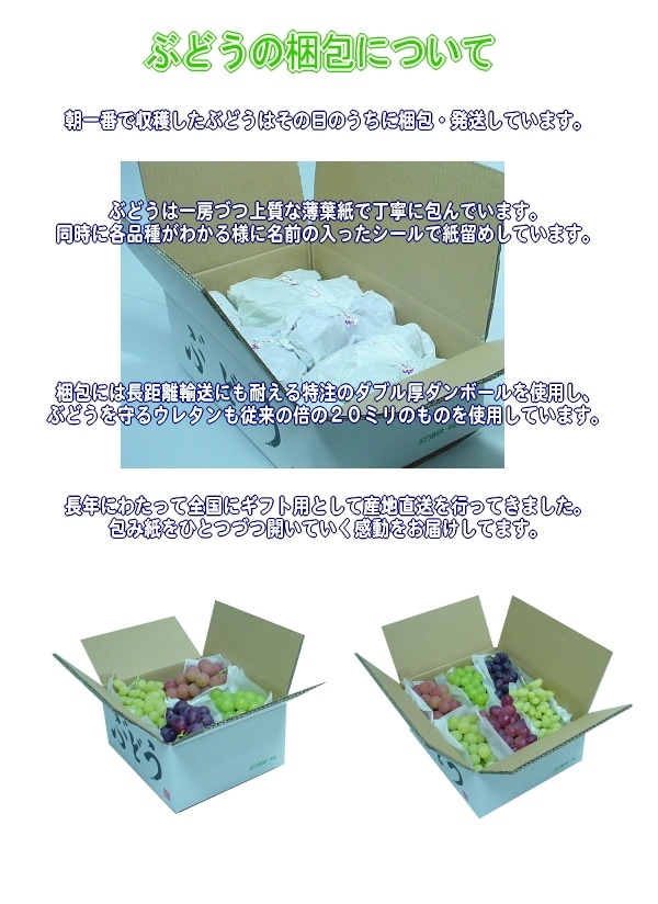 フィンガーグレープ　9ｋｇ　10房入り マニキュアフィンガー【送料無料】☆ぶどうの本場山梨県山梨市