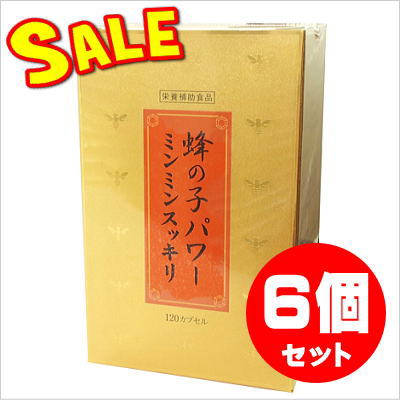 ˪�λҥѥ�ߥ�ߥ󥹥å��� 120���ץ����6�ĥ��åȡڸ����ò���