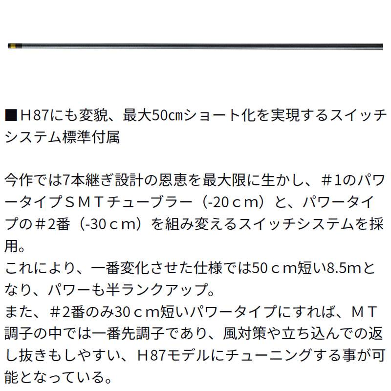 ダイワ 銀影競技スペシャル MT 90 K (Daiwa 竿 ロッド 鮎 釣り)(大型