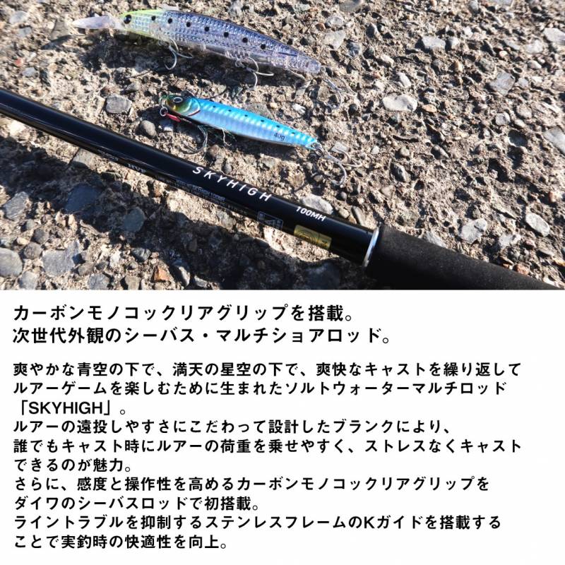 15-2落とし込み竿 泳がせロッドハイパワーマルチロッド2m10　50〜100号 ダイワ スカイハイ 90ML (Daiwa ショアジギング ロッド 竿 釣り 2
